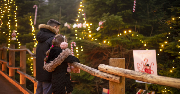 two children admiring the view of The plotter's Forest at Raby Castle with Christmas lights in the background